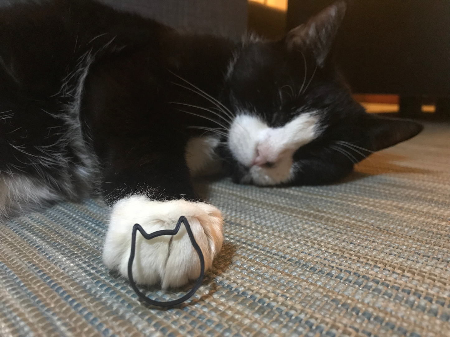 Be A Little Cat-y 3D Printed Rings