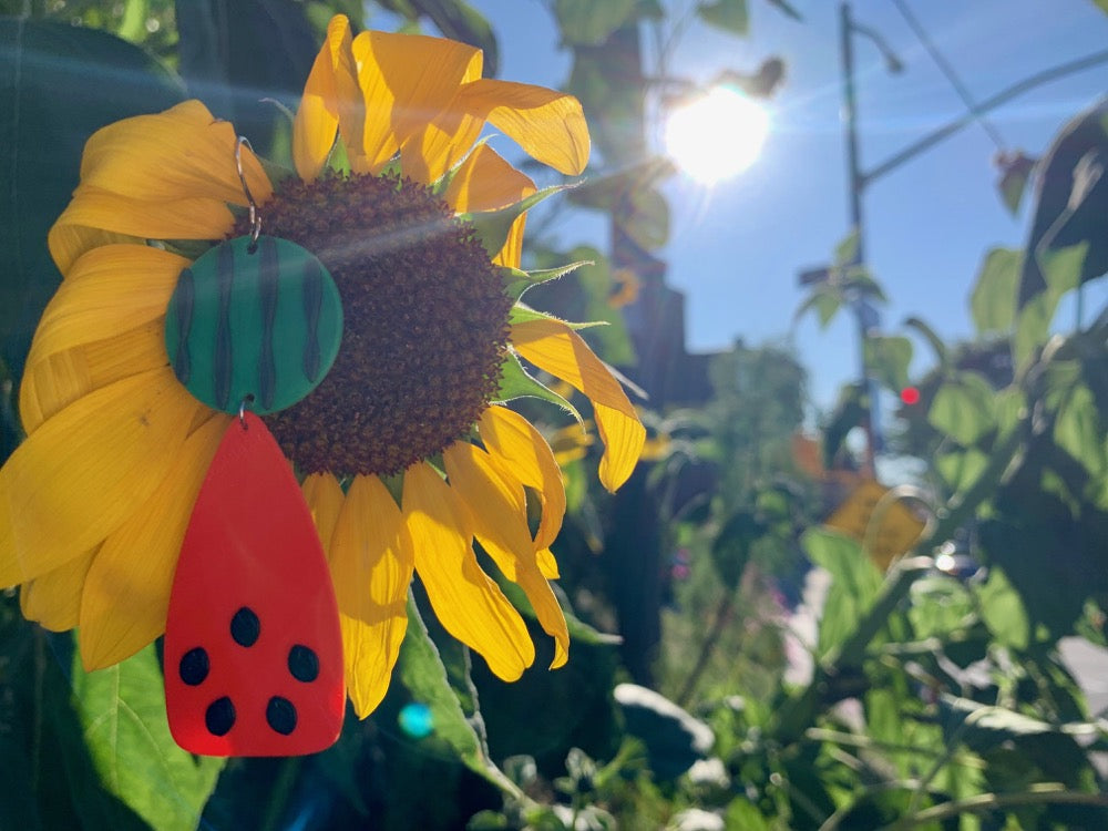 I Carried A Watermelon 3D Printed Earrings