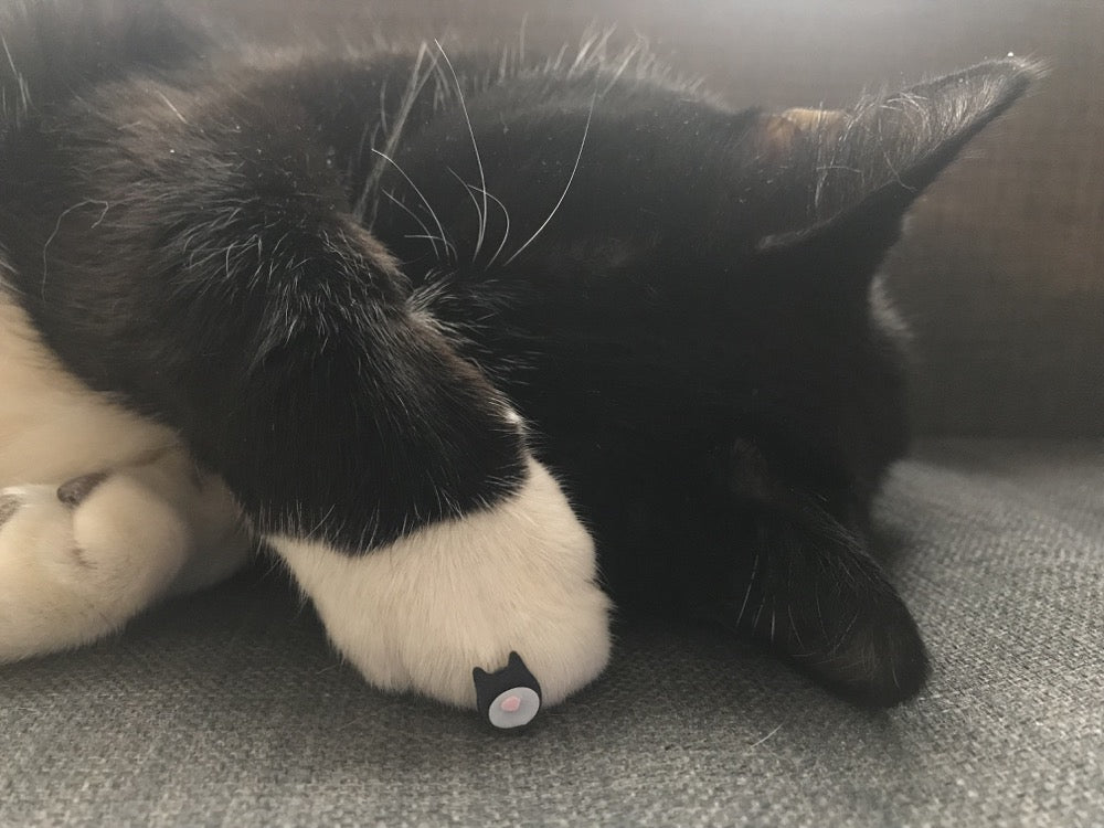 Looking Good, Feline Good 3D Printed Earrings