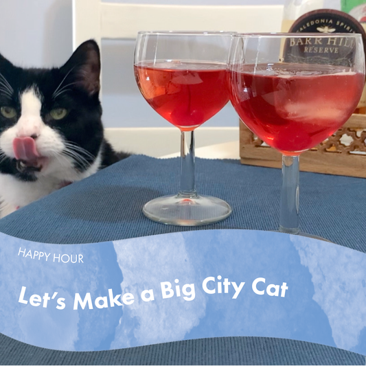 Let's Make a Big City Cat