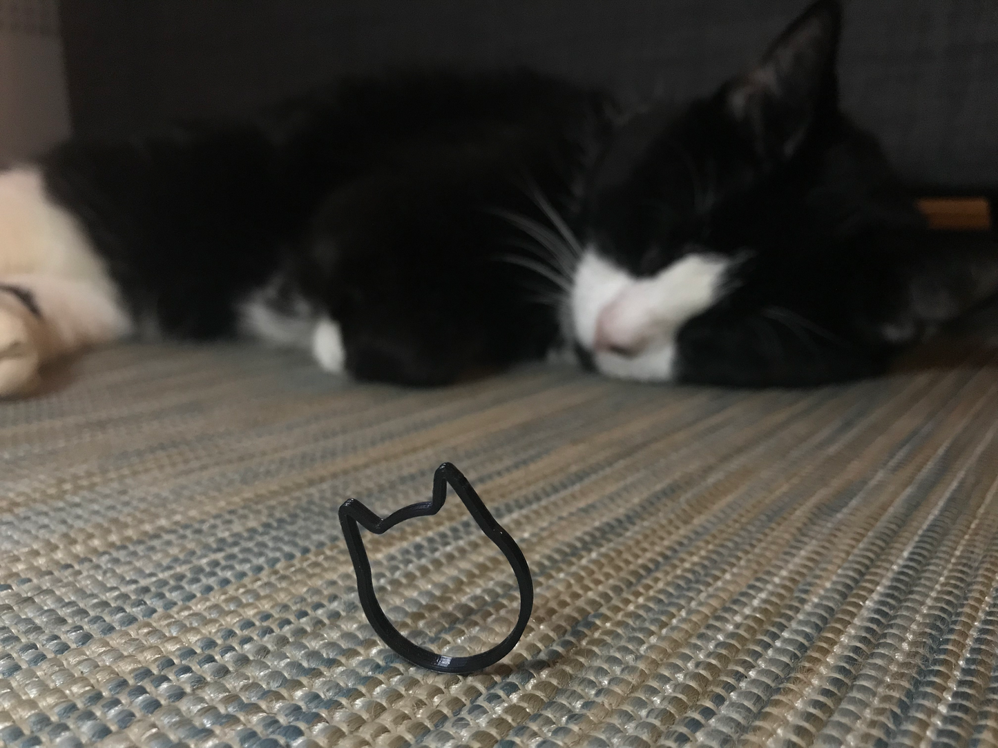 Be A Little Cat-y 3D Printed Rings