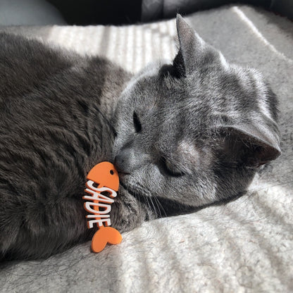 There is a steel grey cat smelling a tag that was placed in front of it. The cat tag is shaped like a cartoon fish that has been eaten. The head, tail, and backbone is bright orange. Where the bones would be, there are letters to form the name Sadie in white.
