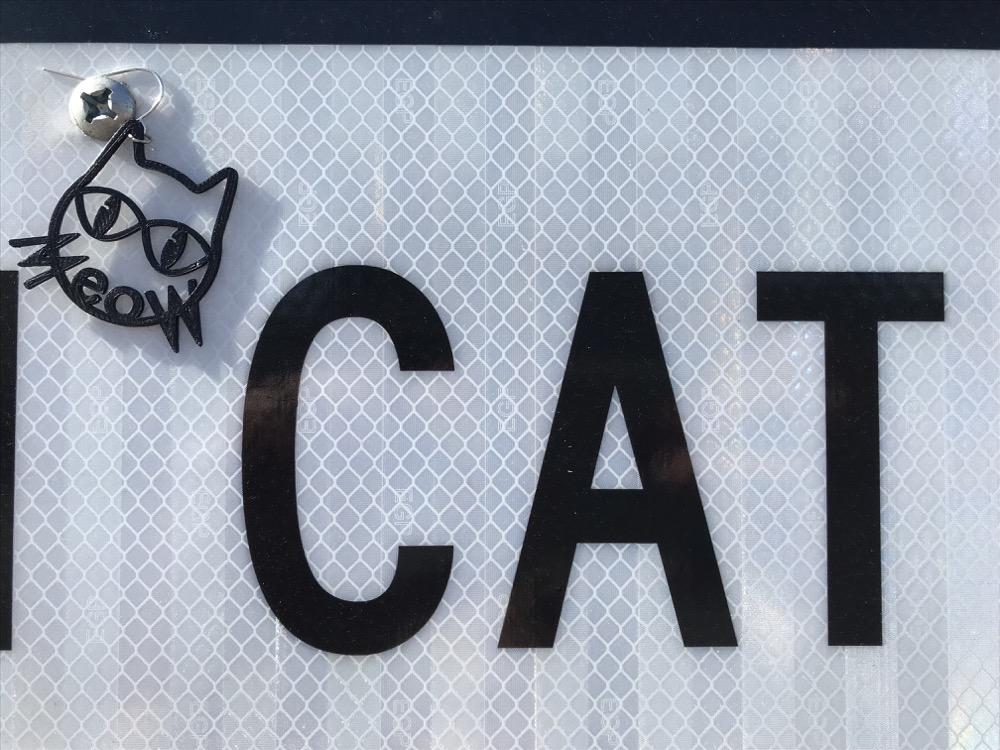 Me-ow! 3D Printed Earrings
