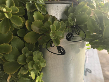Slow Your Roll 3D Printed Earrings