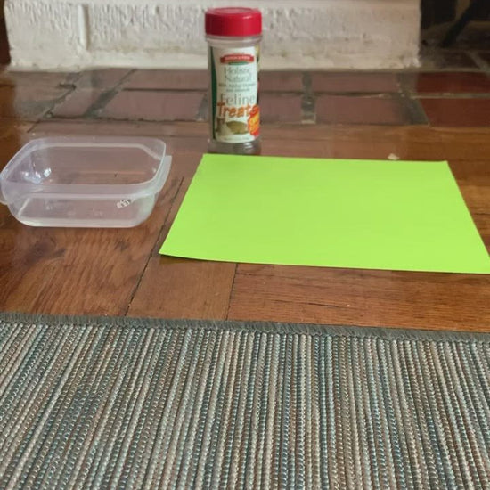 This is a video of how to get a paw print to submit. It shows dipping a cat's paws into a bit of water, then letting her walk across paper and giving her treats. It ends with a close up of the paw print used to make a pendant. 