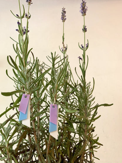 Hanging from a small lavender plant are two earrings.  The earrings are 3D printed with a plant based filament to make them sustainable as well as affordable. There are three banners hanging down; one is white, one is light blue, and the final is light purple. They are each different lengths so that the colors show.