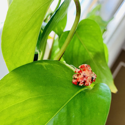 Resting on bright green leaves is a ring cast from recycled plant based 3D prints. It is a ring in the shape of a monstera leaf with red, yellow, orange, and black filaments being used to create a speckled look like granite. 