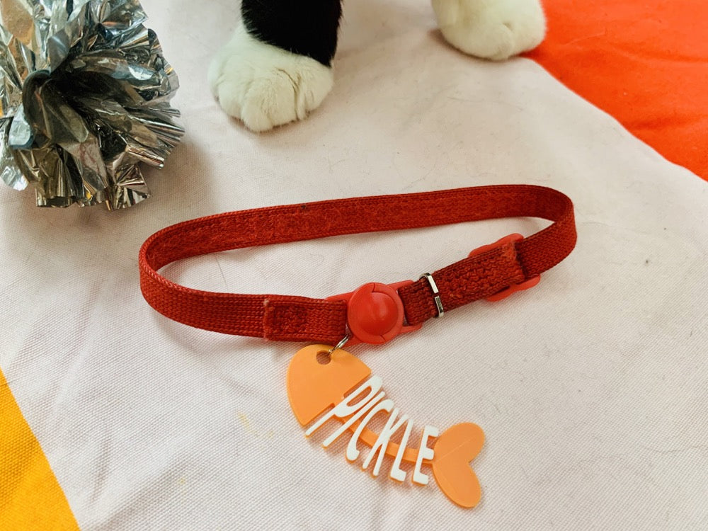 A silver foil cat toy is in the upper corner and you can see a black and white cat's paws standing in front of a red collar with a tag on it. There is a cat tag that is shaped like a cartoon fish that has been eaten. The head, tail, and backbone is bright orange. Where the bones would be, there are letters to form the name Pickle in white.