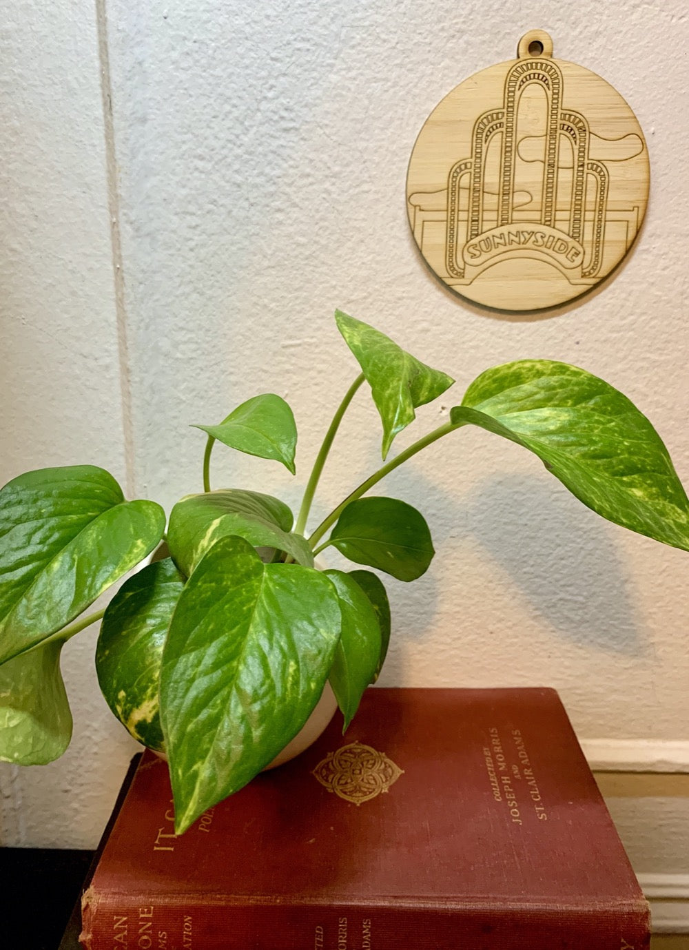 Shown on a white wall above a stack of books and houseplant is a laser cut wall hanging. It is cut from bamboo, a fast growing and sustainable grass. Etched in it a picture of the iconic Sunnyside Arch in the center of the Queens neighborhood. Each piece can be painted like a paint by number or left plain. It can hang from your Christmas Tree or on you wall all year round.