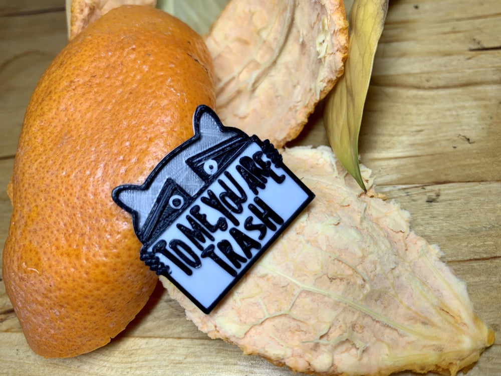 Trash Panda 3D Printed Pin