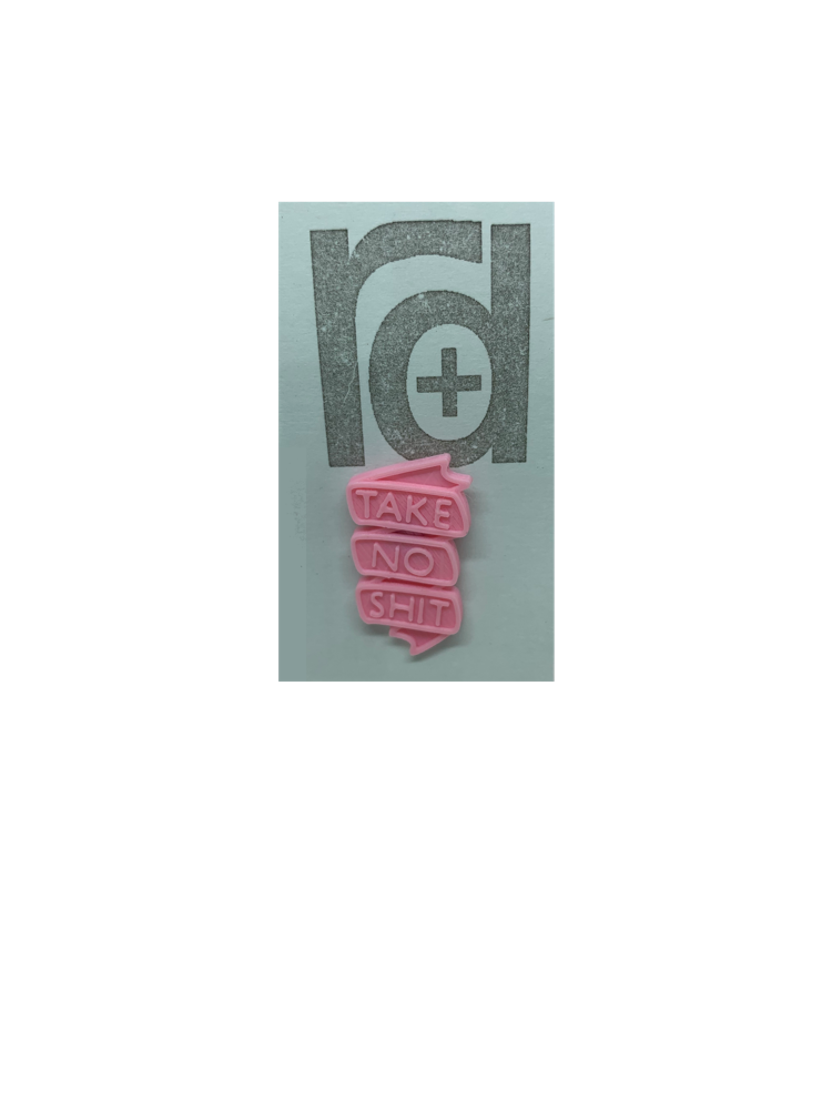 Take No Shit 3D Printed Pin