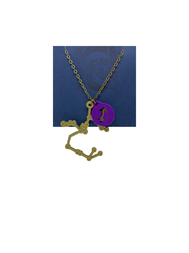 Written in the Stars 3D Printed Necklace